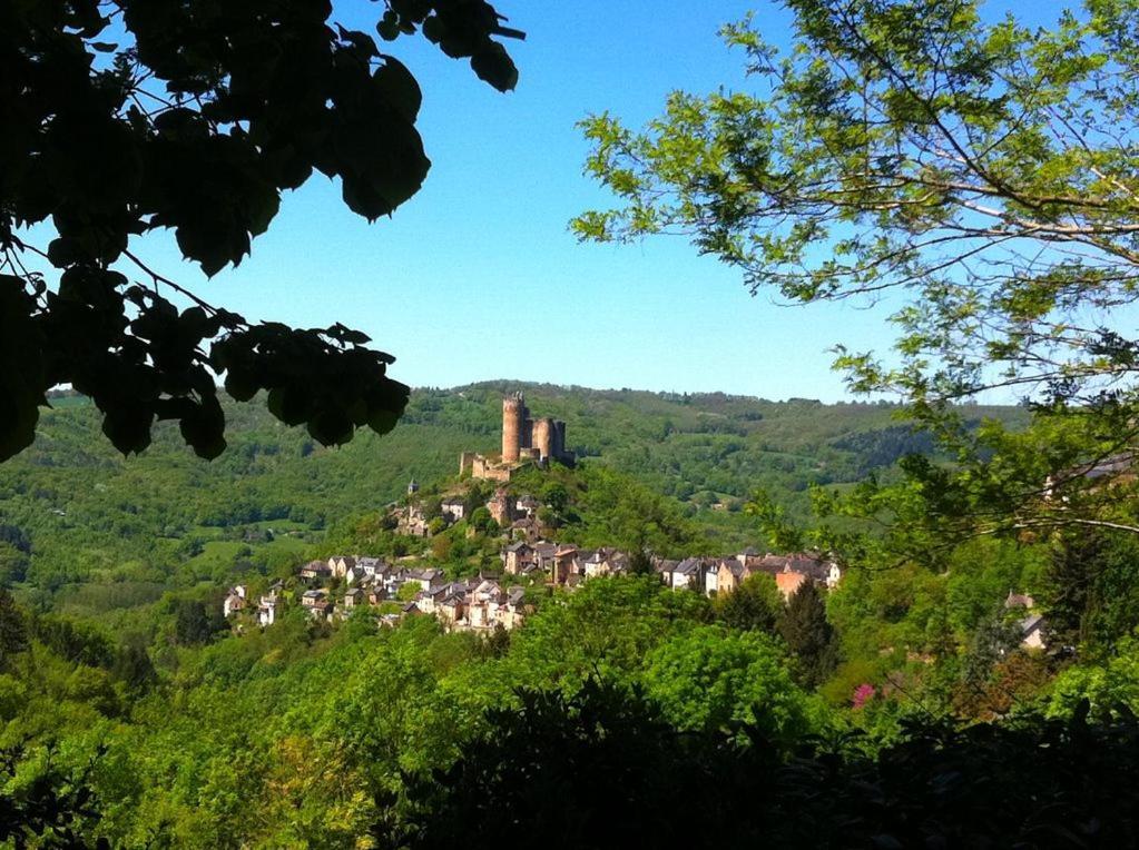 Chambre D Hotes Avec 2 Petits Dejeuners Ou Gite Najac Bagian luar foto
